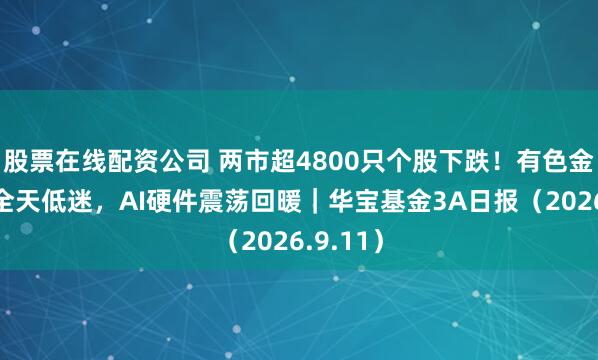 股票在线配资公司 两市超4800只个股下跌！有色金属板块全天低迷，AI硬件震荡回暖｜华宝基金3A日报（2026.9.11）